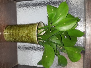 20240427_103650.jpg